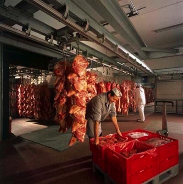 arrival from the slaughterhouse