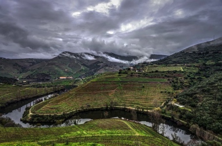 Douro